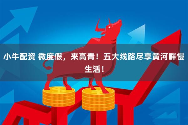 小牛配资 微度假，来高青！五大线路尽享黄河畔慢生活！