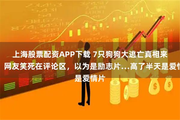 上海股票配资APP下载 7只狗狗大逃亡真相来了，网友笑死在评论区，以为是励志片…高了半天是爱情片