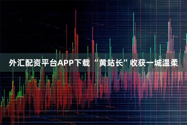 外汇配资平台APP下载 “黄站长”收获一城温柔