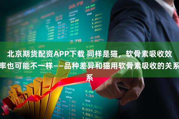 北京期货配资APP下载 同样是猫,软骨素吸收效率也可能不一样——品种差异和猫用软骨素吸收的关系