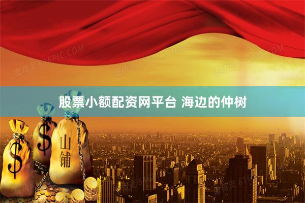 股票小额配资网平台 海边的仲树